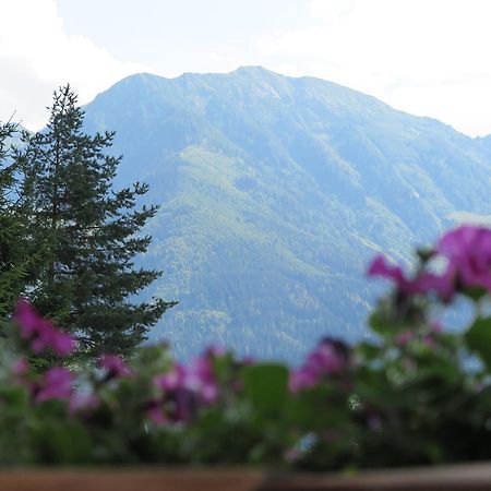 Haus Enzian Leilighet Sankt Johann im Pongau Eksteriør bilde