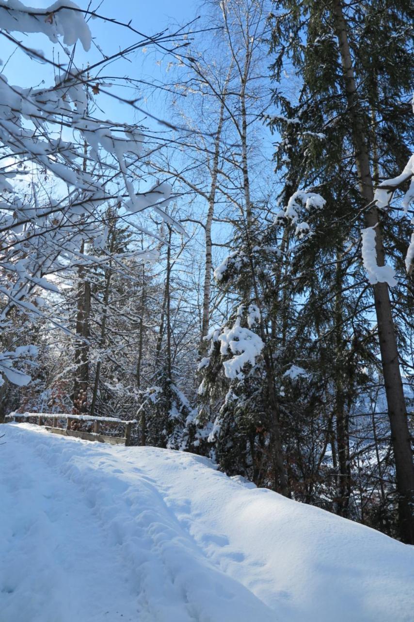Haus Enzian Leilighet Sankt Johann im Pongau Eksteriør bilde