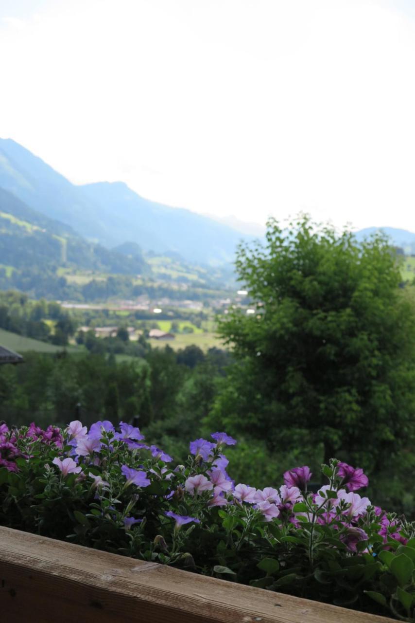 Haus Enzian Leilighet Sankt Johann im Pongau Eksteriør bilde